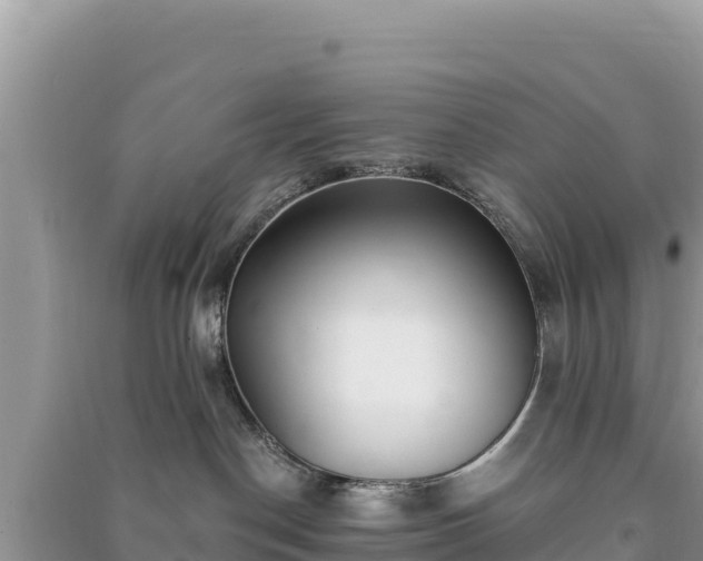 X0000091070190200708131201