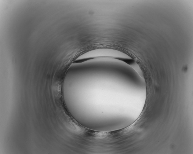X0000091070192200708131201