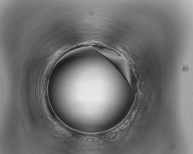 X0000091070193200708131200