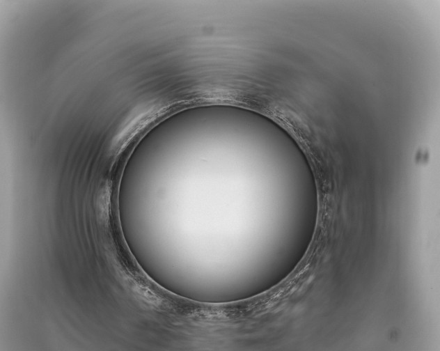 X0000091070194200708131200