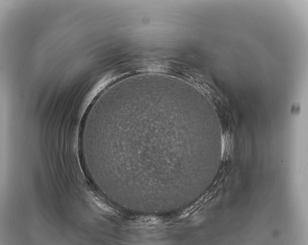 X0000091070195200708131200