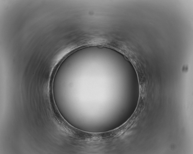 X0000091070196200708131200