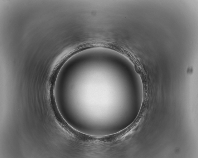 X0000091070197200708131200