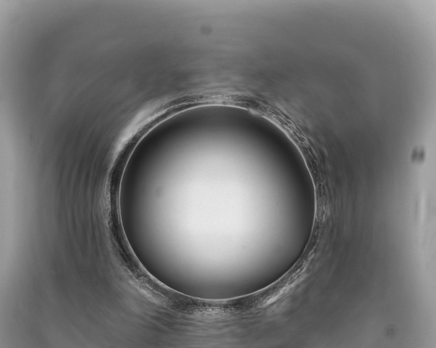 X0000091070198200708131200