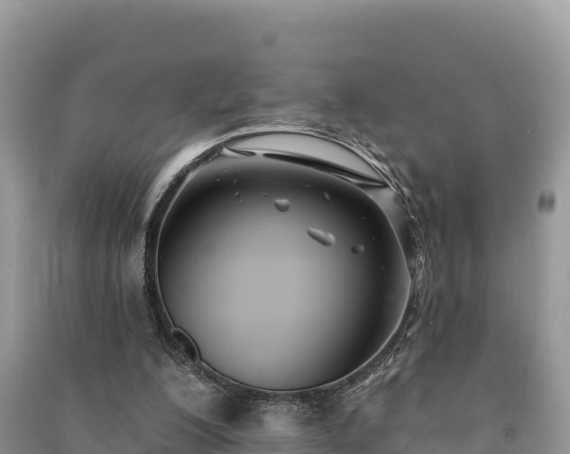 X0000091070200200708131200