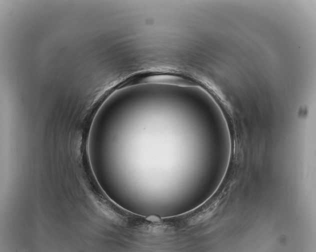 X0000091070201200708131200