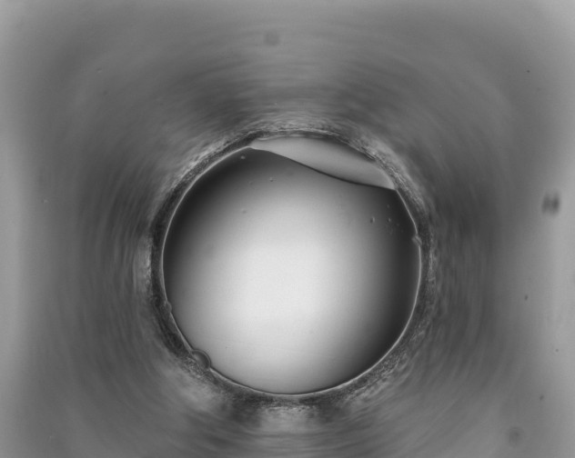 X0000091070202200708131200