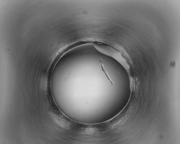 X0000091070204200708131200