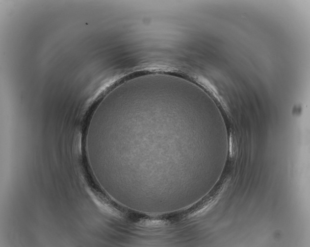 X0000091070205200708131200