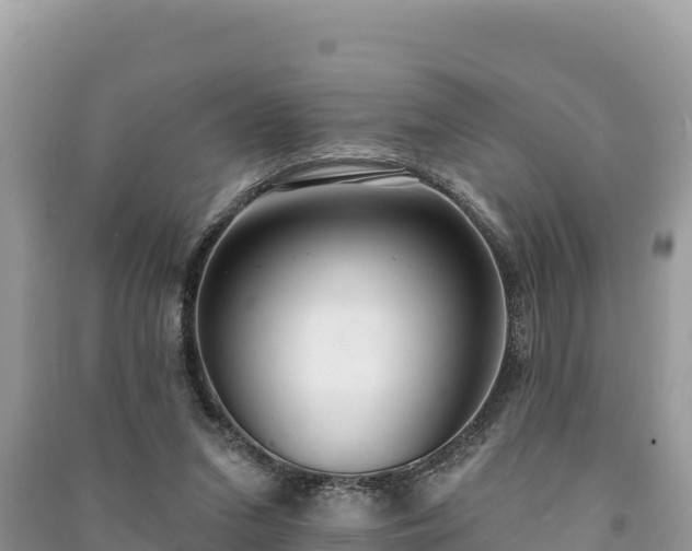 X0000091070207200708131200