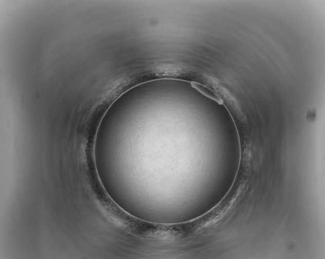X0000091070209200708131200