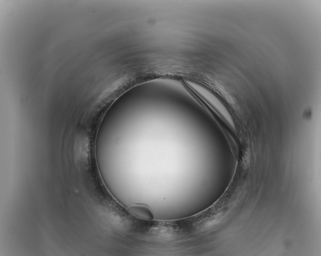 X0000091070211200708131200