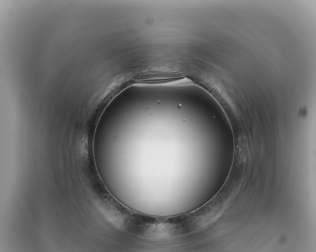 X0000091070212200708131200