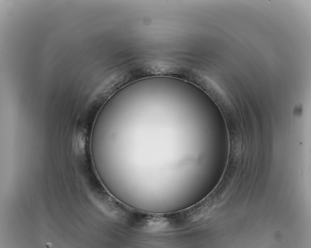 X0000091070214200708131200