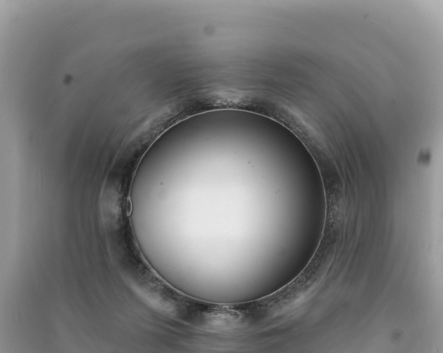 X0000091070215200708131200