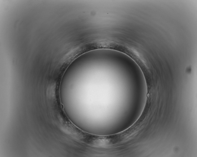 X0000091070217200708131200