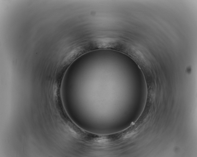 X0000091070219200708131200