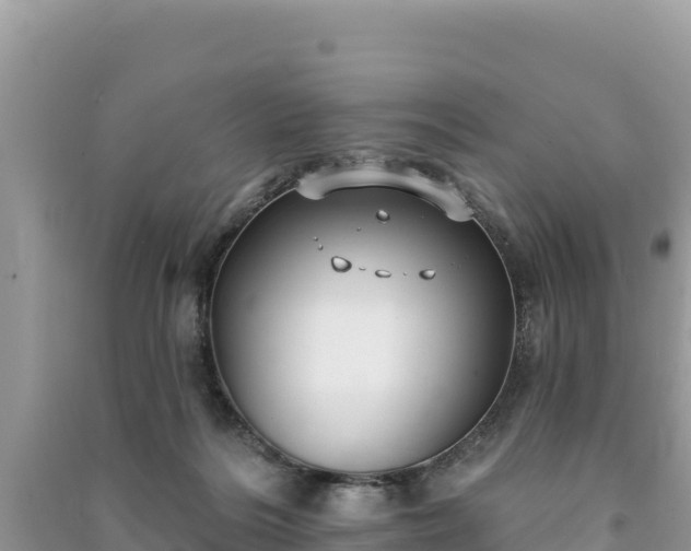 X0000091070220200708131200