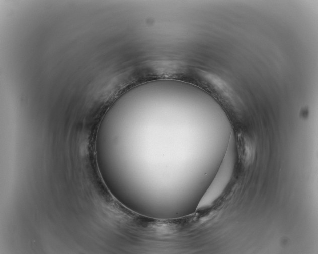 X0000091070221200708131200