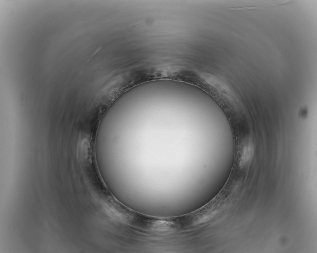 X0000091070222200708131200