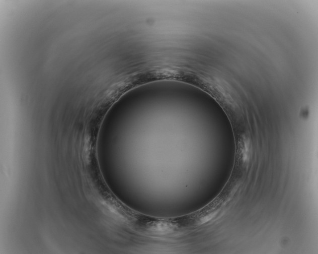 X0000091070223200708131200