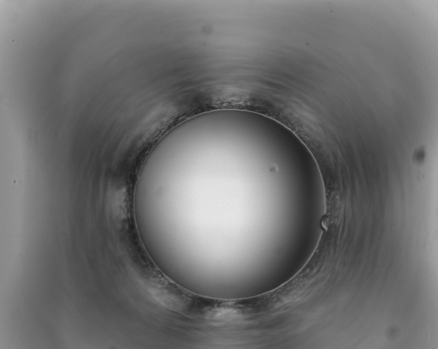 X0000091070224200708131200