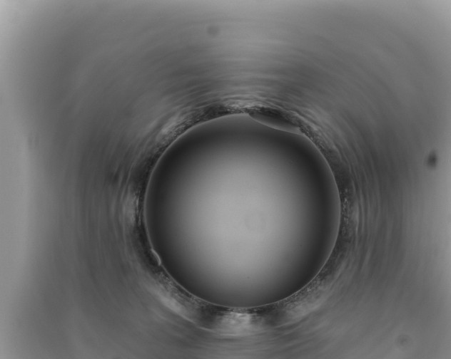 X0000091070227200708131200