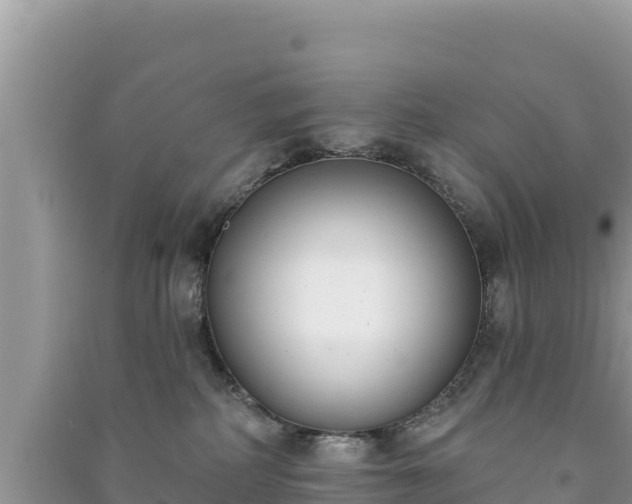 X0000091070234200708131159