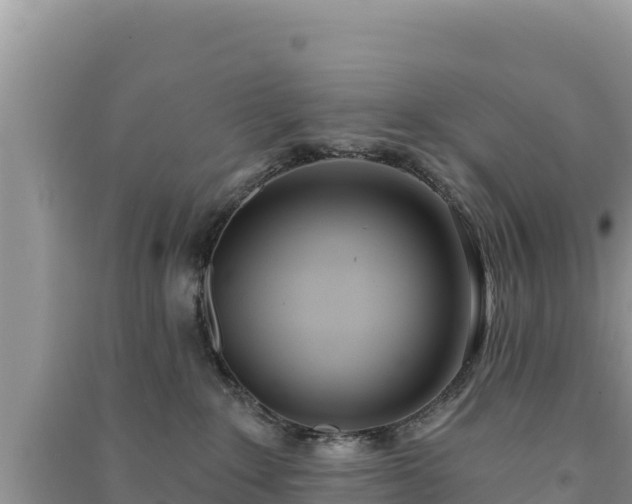 X0000091070235200708131159