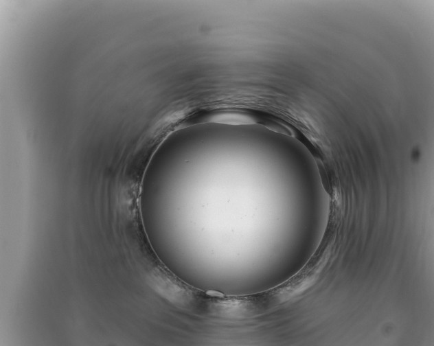 X0000091070237200708131159