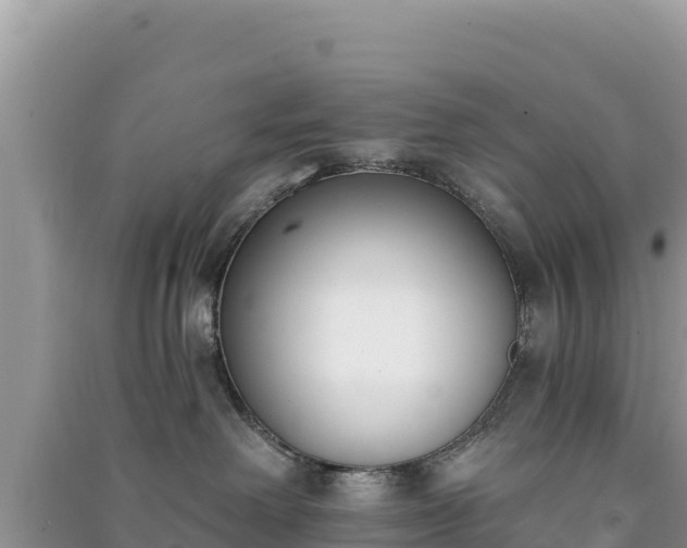 X0000091070238200708131159