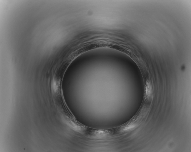 X0000091070239200708131159