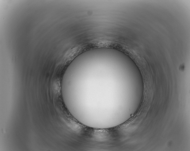 X0000091070240200708131159