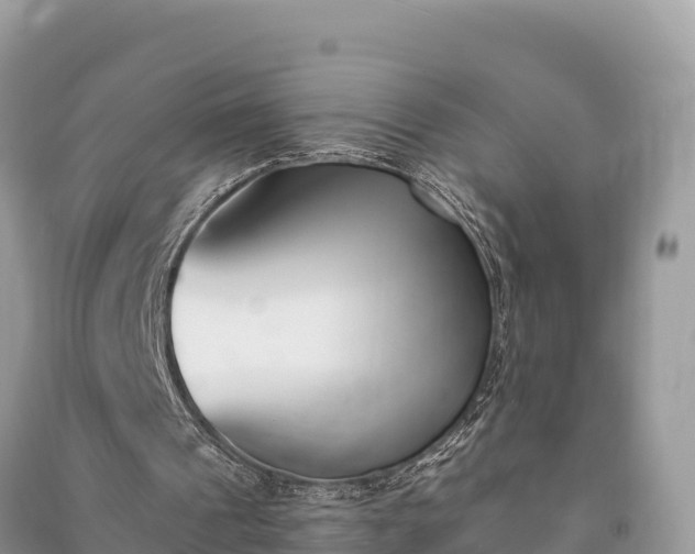 X0000091070241200708131159