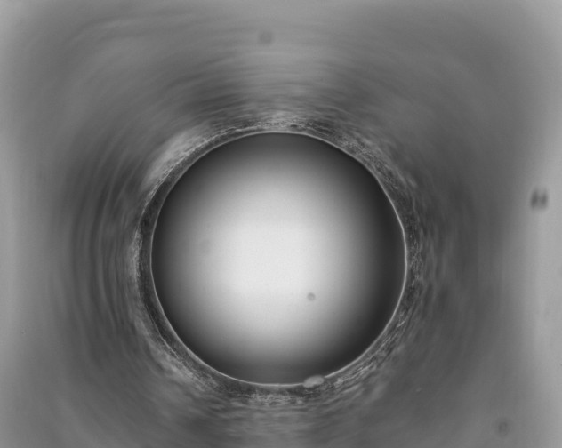 X0000091070242200708131159