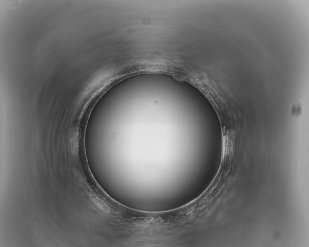 X0000091070243200708131159