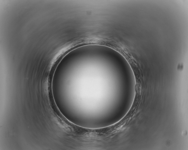 X0000091070244200708131159