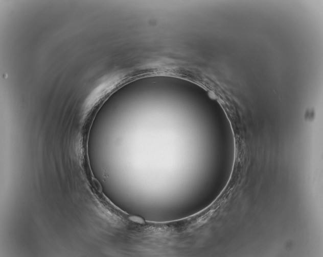 X0000091070245200708131159