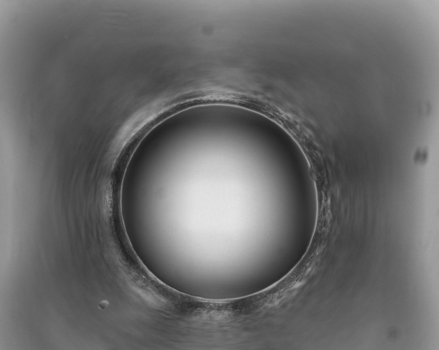 X0000091070247200708131159