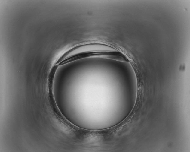 X0000091070248200708131159