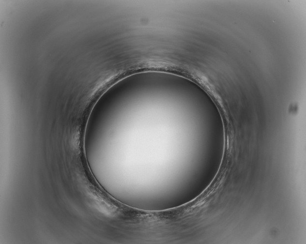 X0000091070249200708131159