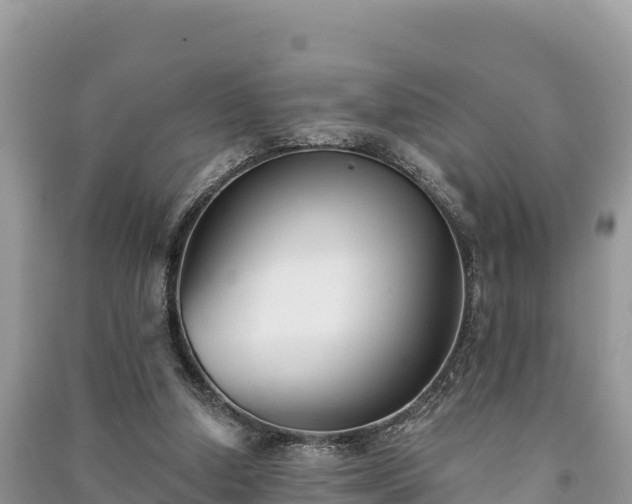 X0000091070250200708131159
