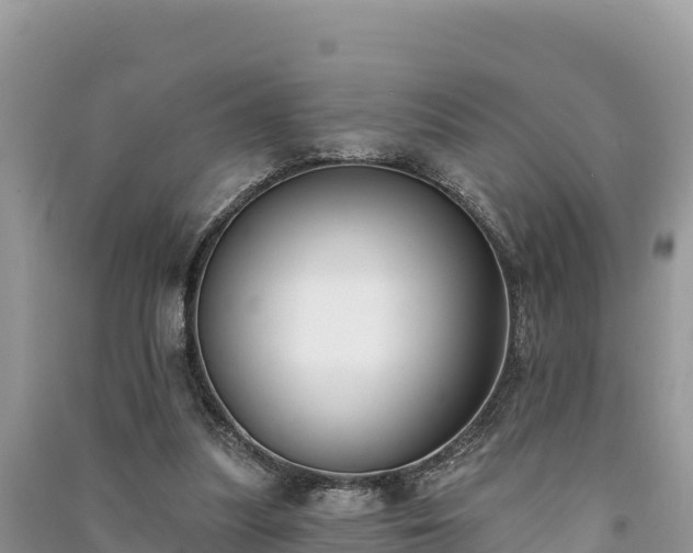 X0000091070251200708131159