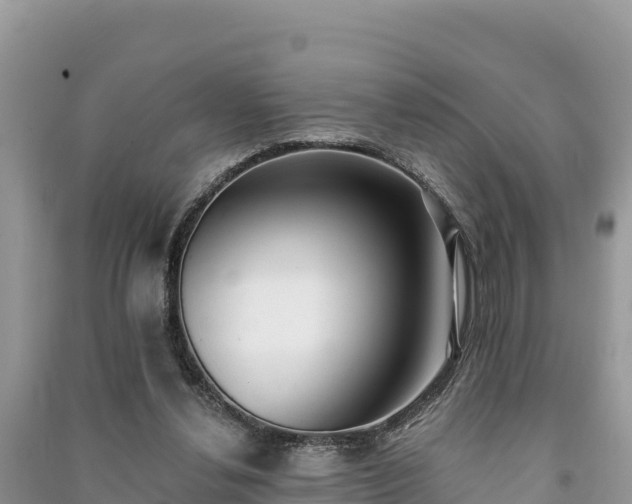X0000091070252200708131159