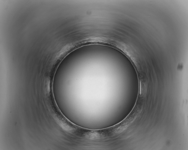 X0000091070253200708131159