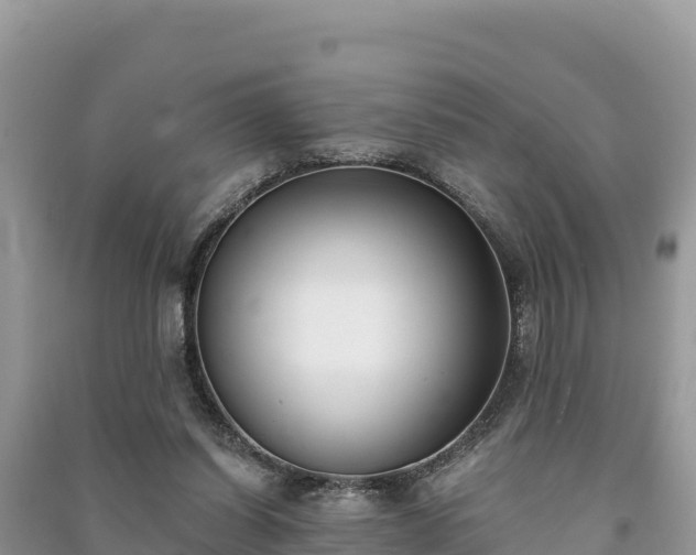 X0000091070254200708131159