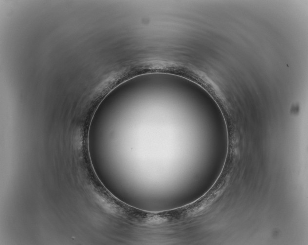 X0000091070257200708131159