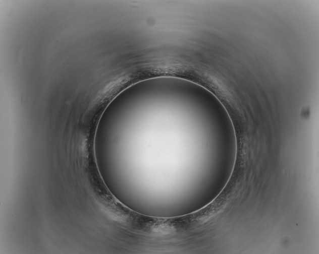 X0000091070258200708131159