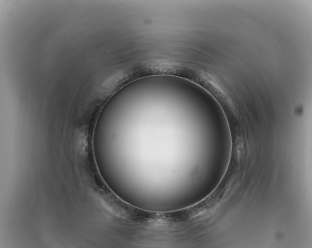 X0000091070259200708131159