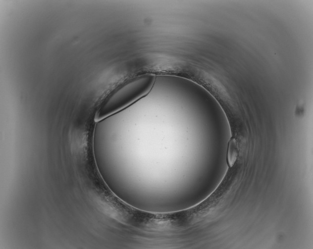 X0000091070260200708131159